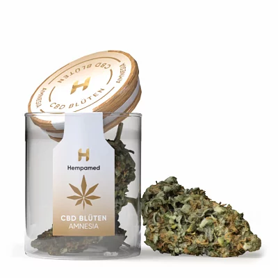 Hempamed Amnesia CBD Blüten (2g)