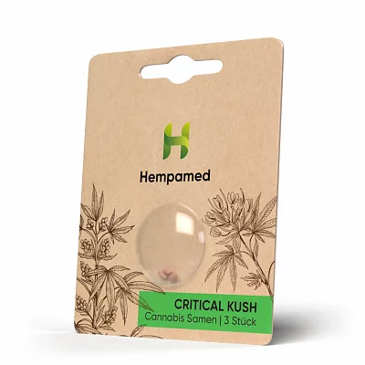 Hempamed Critical Kush Samen (3 Stk.)