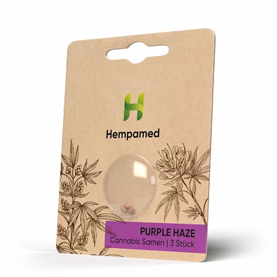Hempamed Purple Haze Samen (3 Stk.)